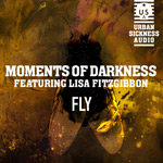 Moments of Darkness - Fly